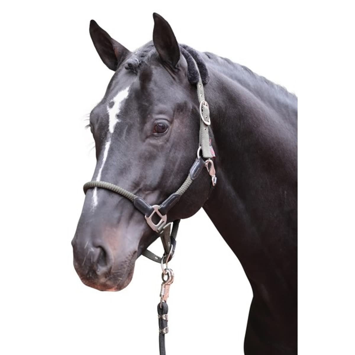 Amazon.co.jp: 乗馬 無口 曳手 コルダーノ 無口 オリーブ フル